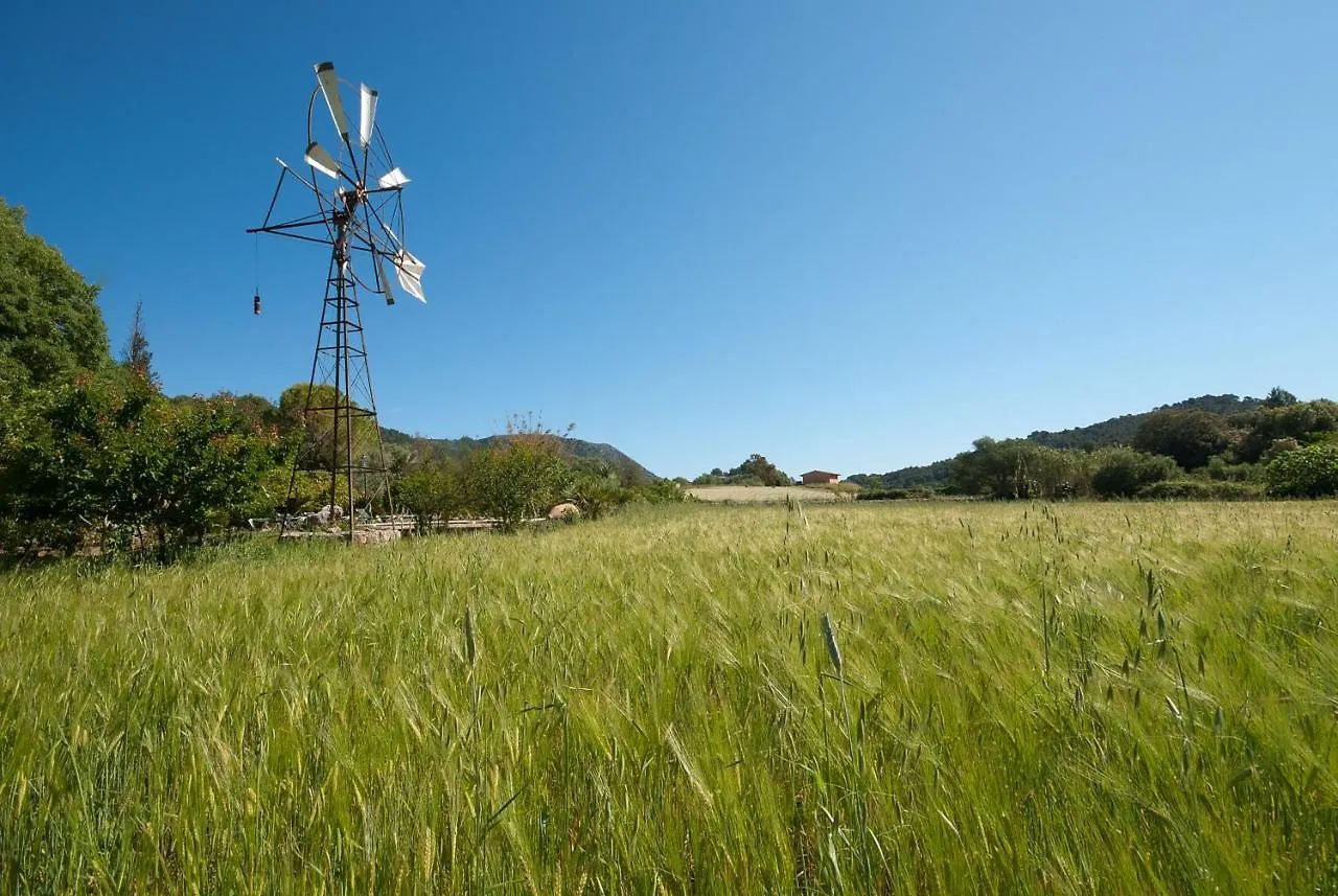 Hort Den Gelos Campanet Mallorca Spain